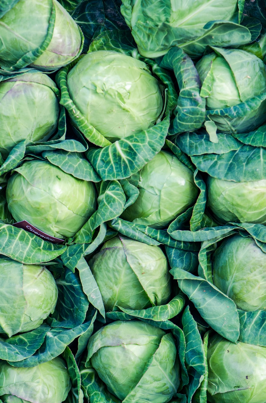 Frischer Kohl fürs Suurchruute