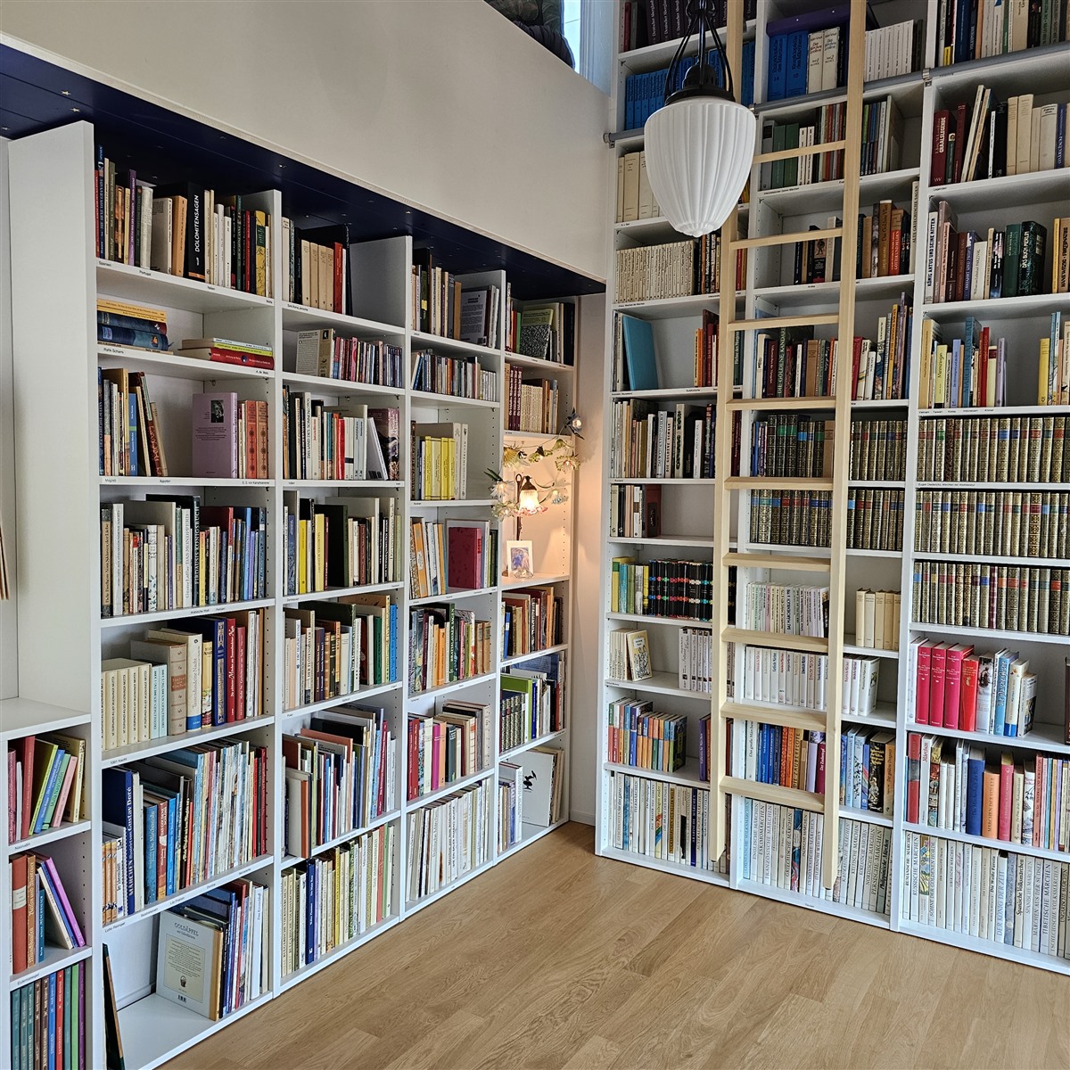 Märlibibliothek Orphea: Bücherregale mit Leiter in der Motorenstrasse 139